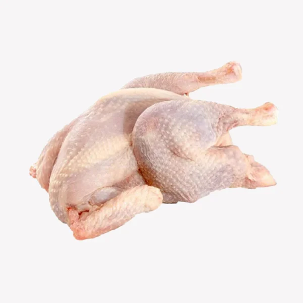 Hard Chicken