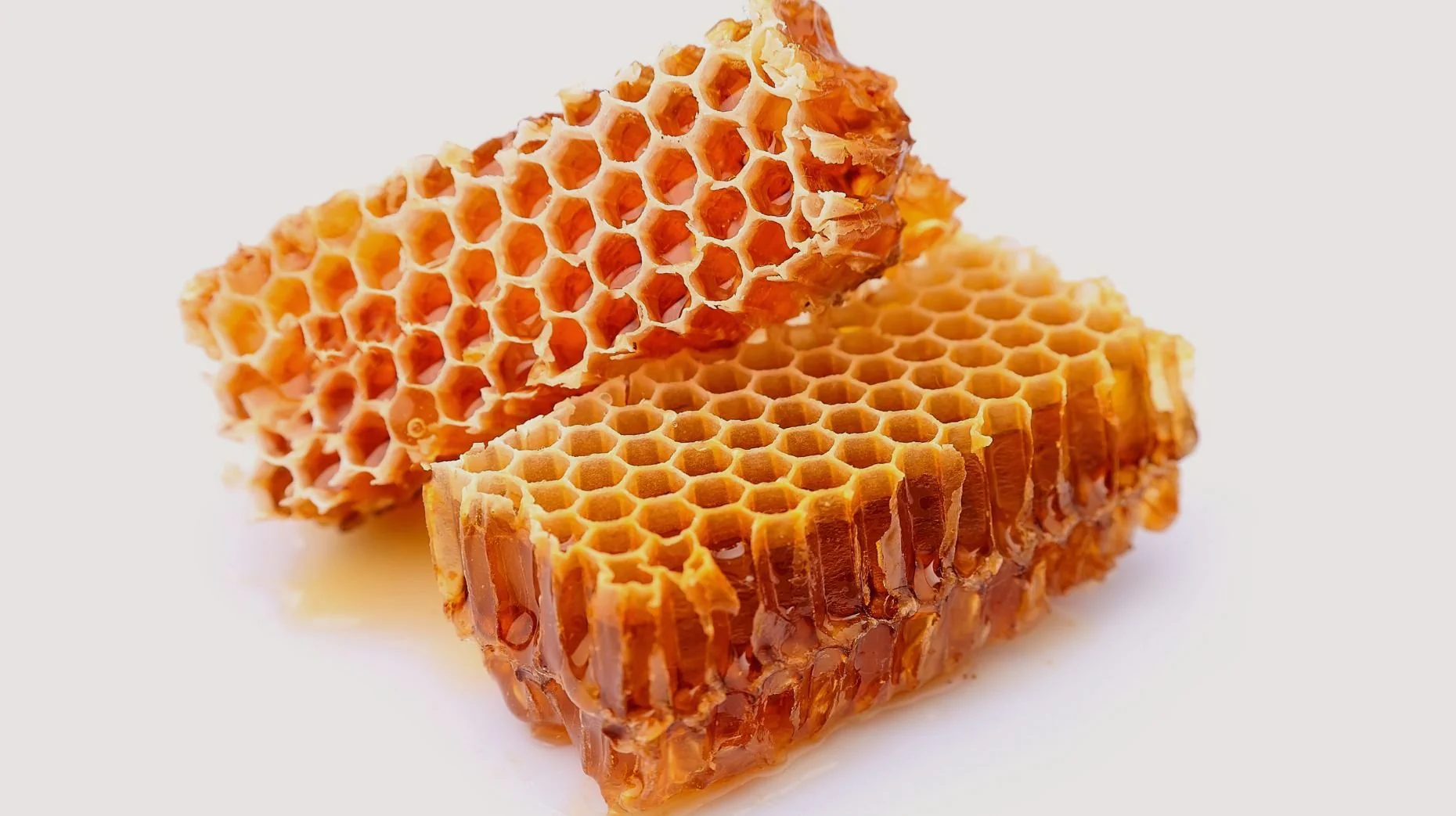 Honey Comb Honey Comb - Image 1