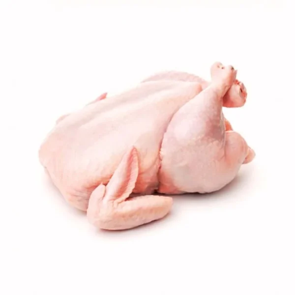 Jumbo Chicken (Orobo)