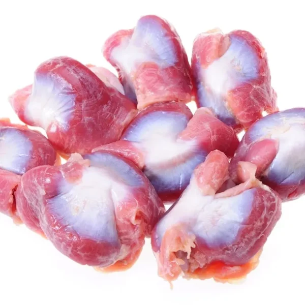 Turkey Gizzard