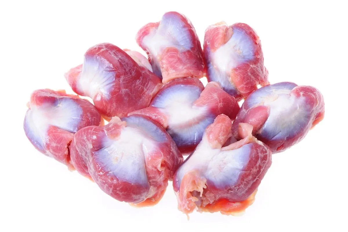 Turkey Gizzard Turkey Gizzard - Image 1